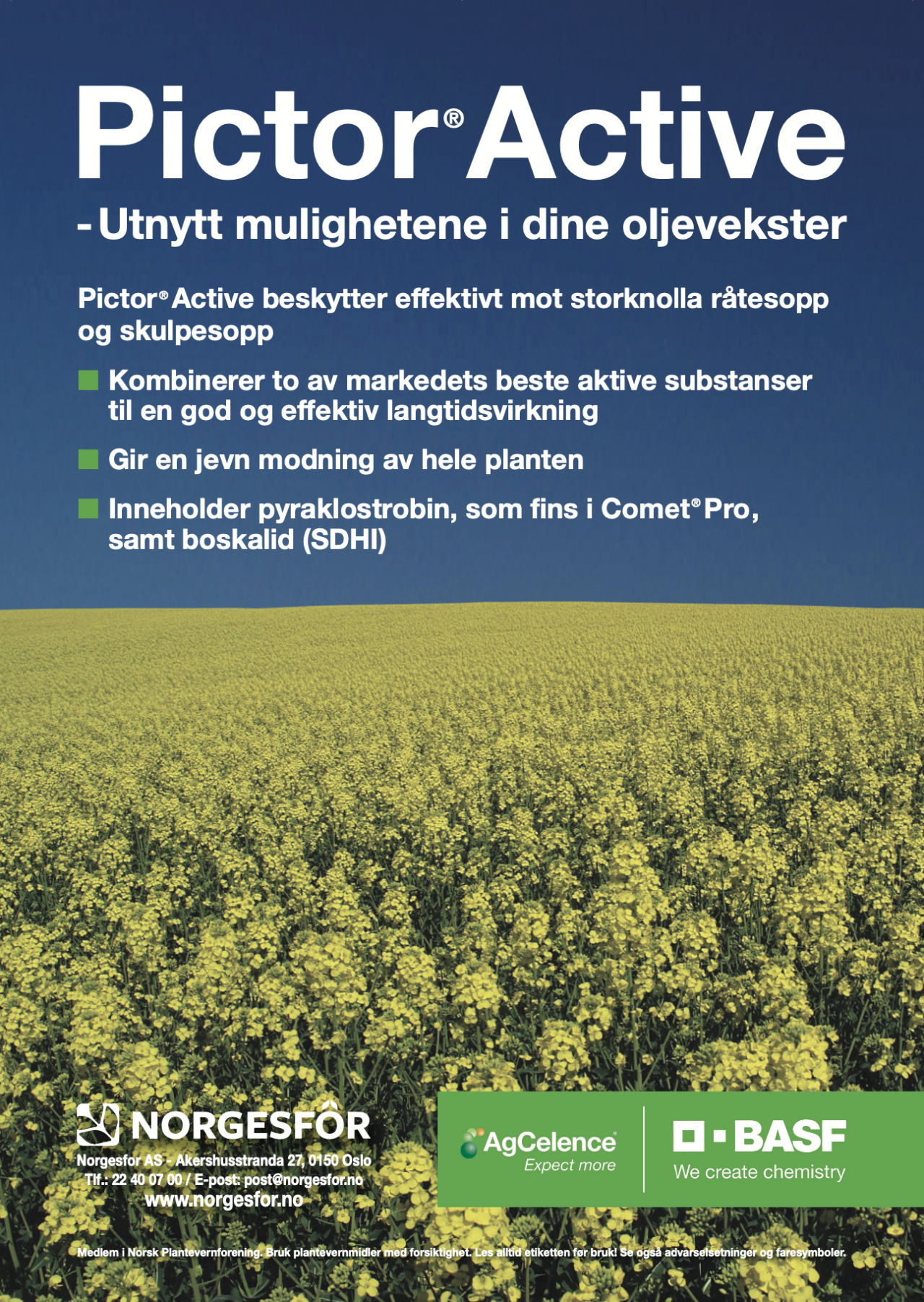 Annonse - Pictor Active, beskytter effektivt mot storknolla råtesopp og skulpesopp.